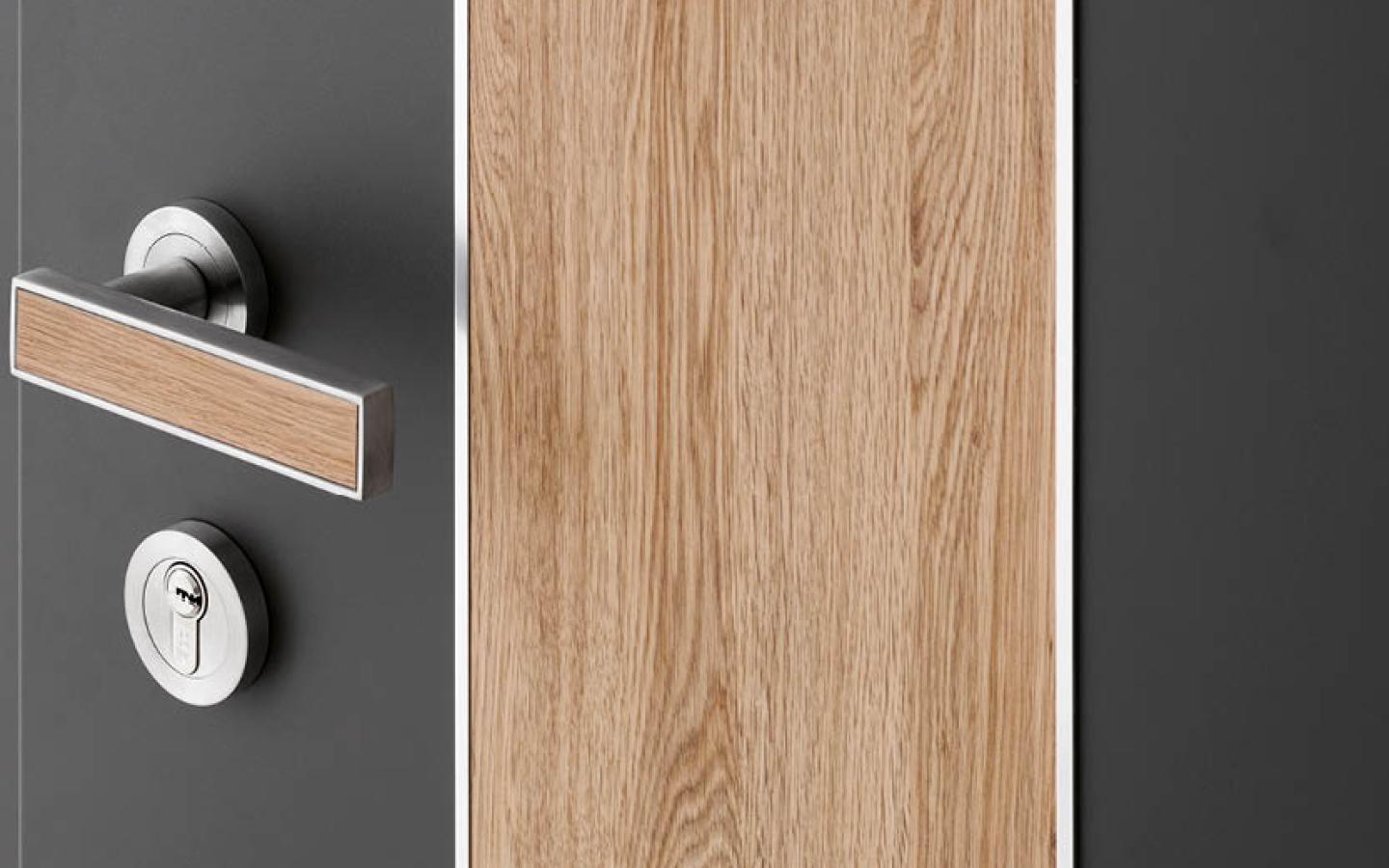 Porte D'entrée Aluminium